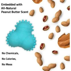 Playology Puppy Teething Bounce Ball Peanut Butter Dog Toy 9 Playology Puppy Teething Bounce Ball Peanut Butter Dog Toy -PetSafe Kong Shop 839158 PT2. AC SS1800 V1683744688