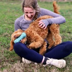 Playology Puppy Teething Bone Beef Dog Toy, Red, Small -PetSafe Kong Shop 839206 PT4. AC SS1800 V1683740493