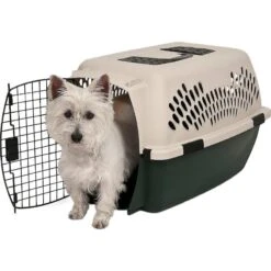 Petmate Ruff Maxx Dog & Cat Kennel, Off White/Green -PetSafe Kong Shop 83941 PT3. AC SS1800 V1569016038