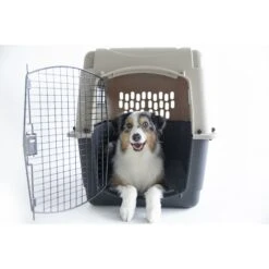 Petmate Ultra Vari Dog & Cat Kennel, Taupe/Black -PetSafe Kong Shop 83947 PT3. AC SS1800 V1569016066