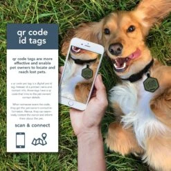 Besties QR Code Silicone Dog ID Tag -PetSafe Kong Shop 839870 PT3. AC SS1800 V1696527015
