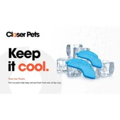 Closer Pets Five-meal Automatic Cat & Dog Feeder With Digital Timer, White -PetSafe Kong Shop 840694 PT7. AC SS1800 V1683553345