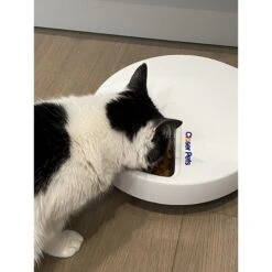 Closer Pets Five-meal Automatic Cat & Dog Feeder With Digital Timer, White -PetSafe Kong Shop 840694 PT8. AC SS1800 V1683553375