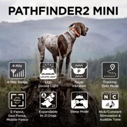 Dogtra PATHFINDER2 Mini Dog Tracking & Training System -PetSafe Kong Shop 842318 PT3. AC SS1800 V1682529351