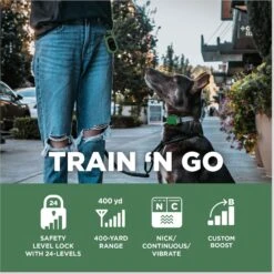 Dogtra CUE Dog Bark Control Training, Green -PetSafe Kong Shop 842374 PT2. AC SS1800 V1690814574