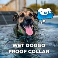 Dogtra CUE Dog Bark Control Training, Green -PetSafe Kong Shop 842374 PT5. AC SS1800 V1690569957