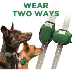 Dogtra CUE Dog Bark Control Training, Green -PetSafe Kong Shop 842374 PT6. AC SS1800 V1690574370