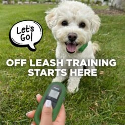 Dogtra CUE Dog Bark Control Training, Green -PetSafe Kong Shop 842374 PT7. AC SS1800 V1690574294