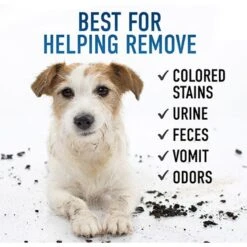 Hoover Oxy Clean Dog & Cat Stain Remover, Blue, 14 Count -PetSafe Kong Shop 842598 PT5. AC SS1800 V1682534361