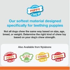 Nylabone Nubz Turkey & Sweet Potato Flavored Puppy Chew Treat, 8 Count & Nylabone Puppy Pacifier Teething Toy Chew Teething Pacifier Bacon -PetSafe Kong Shop 843390 PT4. AC SS1800 V1682601400