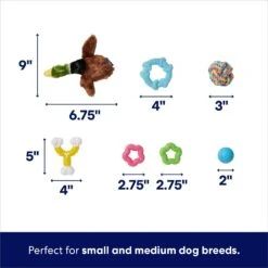 Frisco Forest Friends Plush, Rope & TPR Variety Pack Dog Toy -PetSafe Kong Shop 843534 PT2. AC SS1800 V1693411070