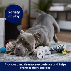 Frisco Forest Friends Plush, Rope & TPR Variety Pack Dog Toy -PetSafe Kong Shop 843534 PT3. AC SS1800 V1693411070