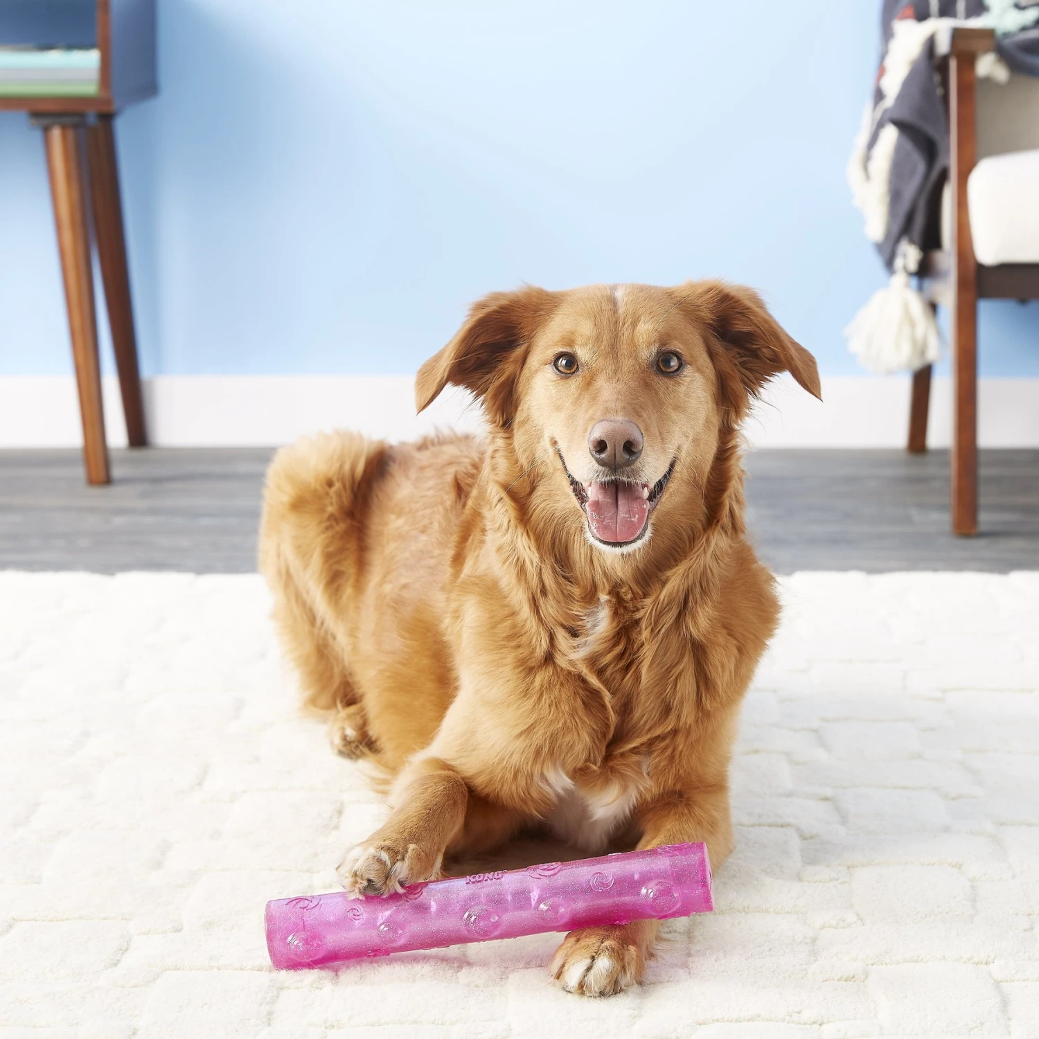 KONG Squeezz Crackle Stick For Dogs, Color Varies 2 KONG Squeezz Crackle Stick For Dogs, Color Varies - Image 2