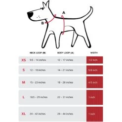 Red Dingo Padded Dog Harness -PetSafe Kong Shop 844942 PT6. AC SS1800 V1688678086