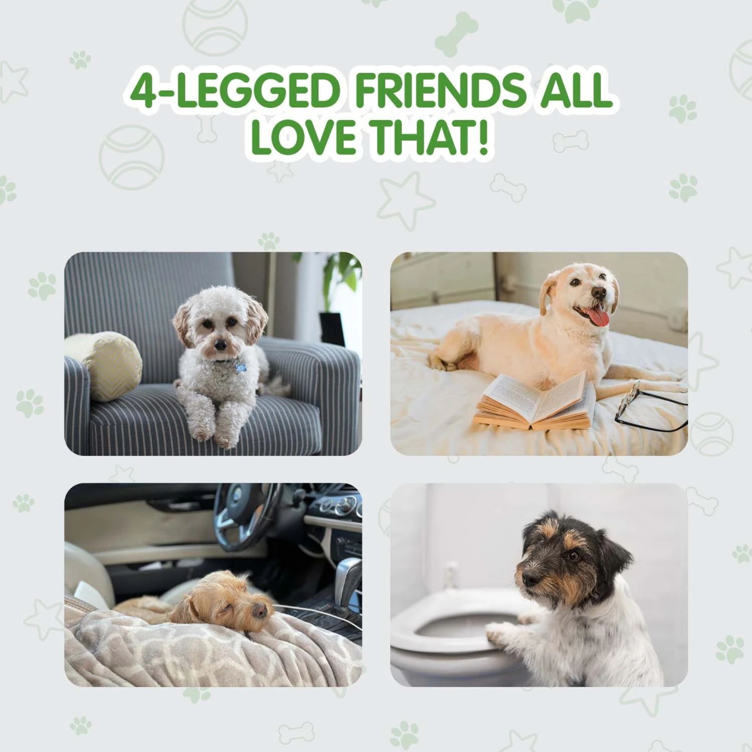 COCOYO Dog Training Pads, 30-in X 36-in, 40 Count 6 COCOYO Dog Training Pads, 30-in X 36-in, 40 Count - Image 6