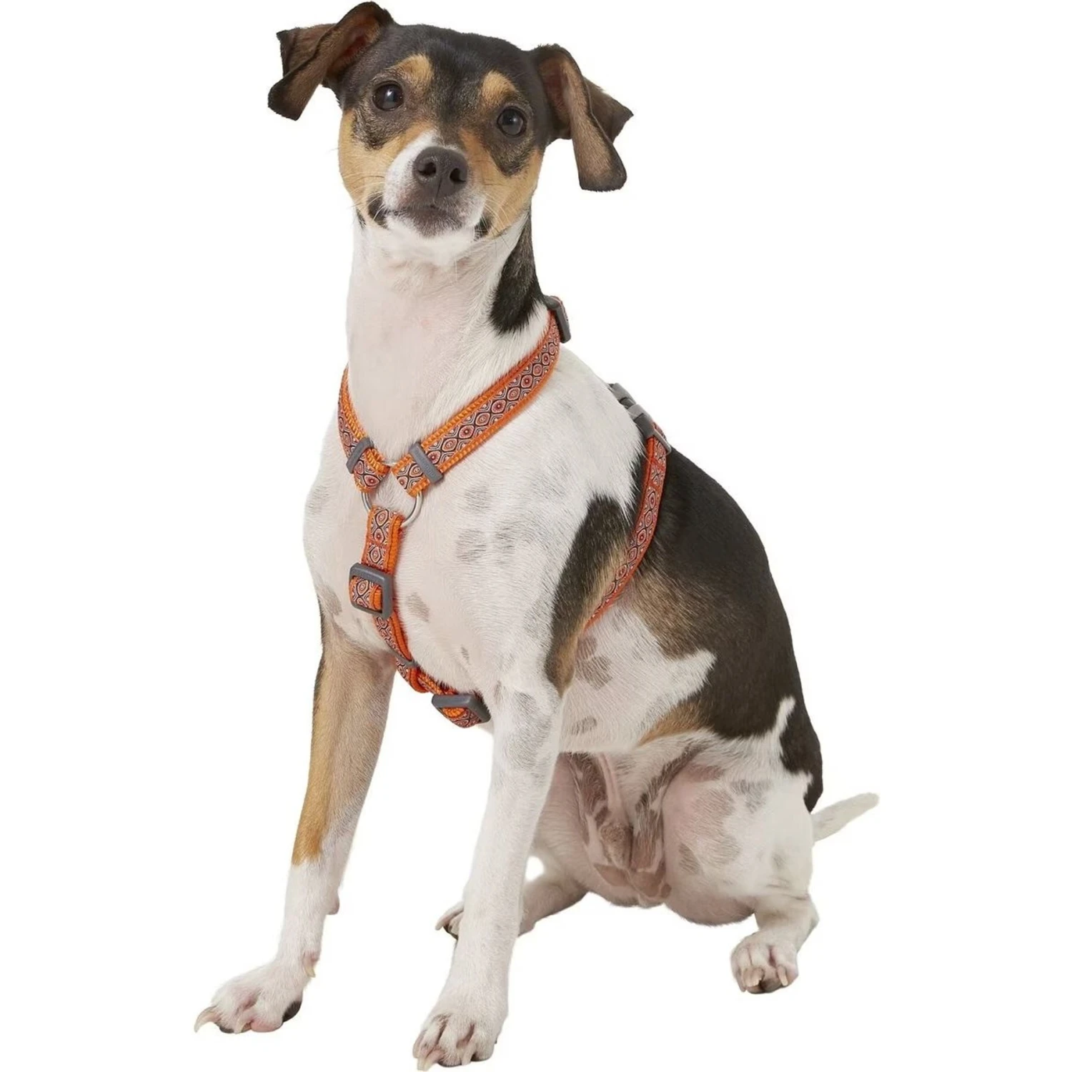 Red Dingo Designer Snake Eyes Nylon Back Clip Dog Harness 2 Red Dingo Designer Snake Eyes Nylon Back Clip Dog Harness - Image 2