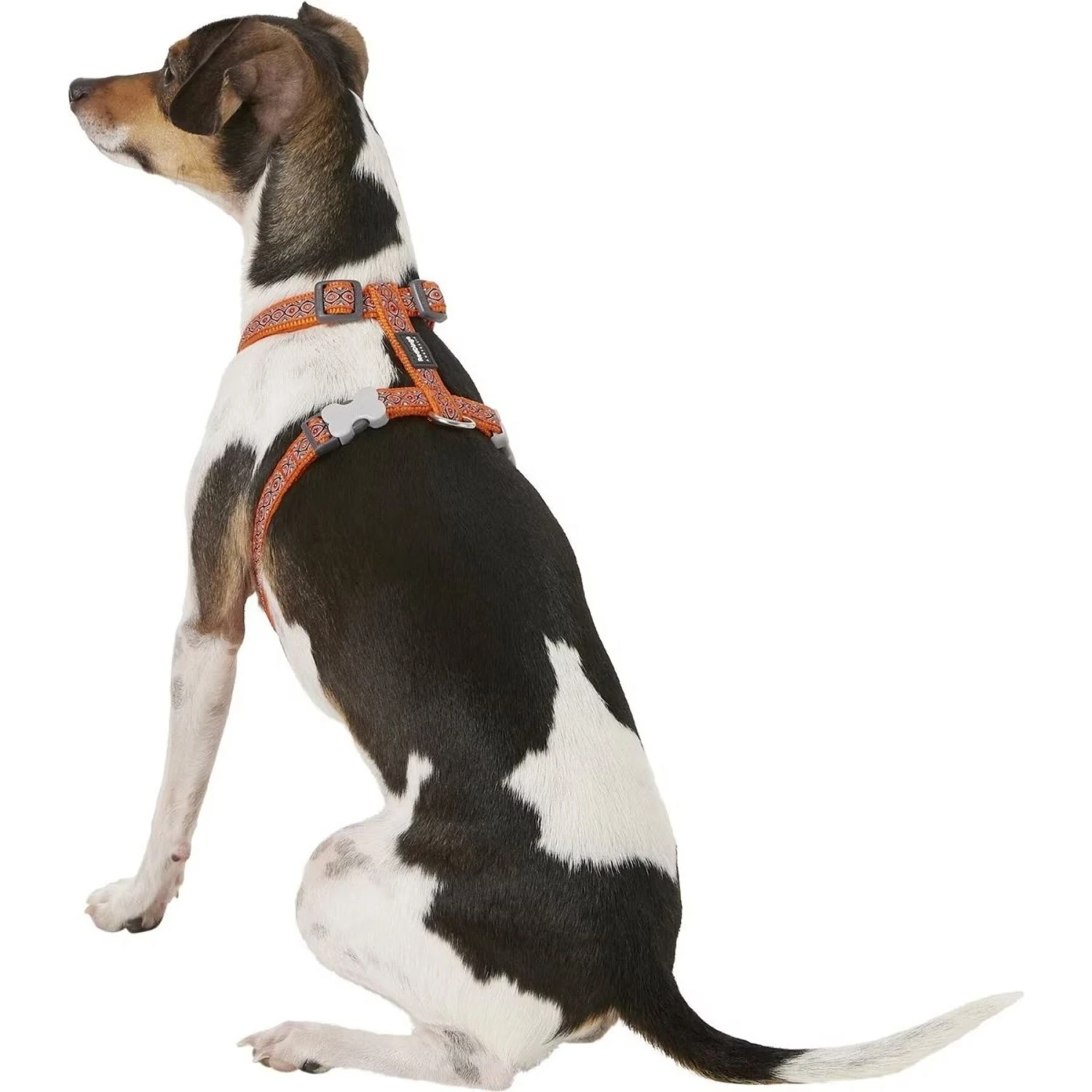 Red Dingo Designer Snake Eyes Nylon Back Clip Dog Harness 3 Red Dingo Designer Snake Eyes Nylon Back Clip Dog Harness - Image 3