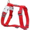 Red Dingo Classic Nylon Back Clip Dog Harness