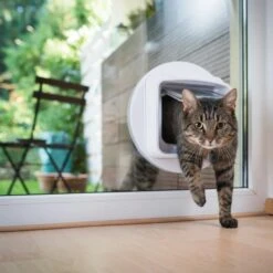 Pebblebee Clip Pet Accessory Tracker, Black -PetSafe Kong Shop 847750 PT3. AC SS1800 V1690381250