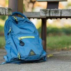 Pebblebee Clip Pet Accessory Tracker, Black -PetSafe Kong Shop 847750 PT7. AC SS1800 V1690381187