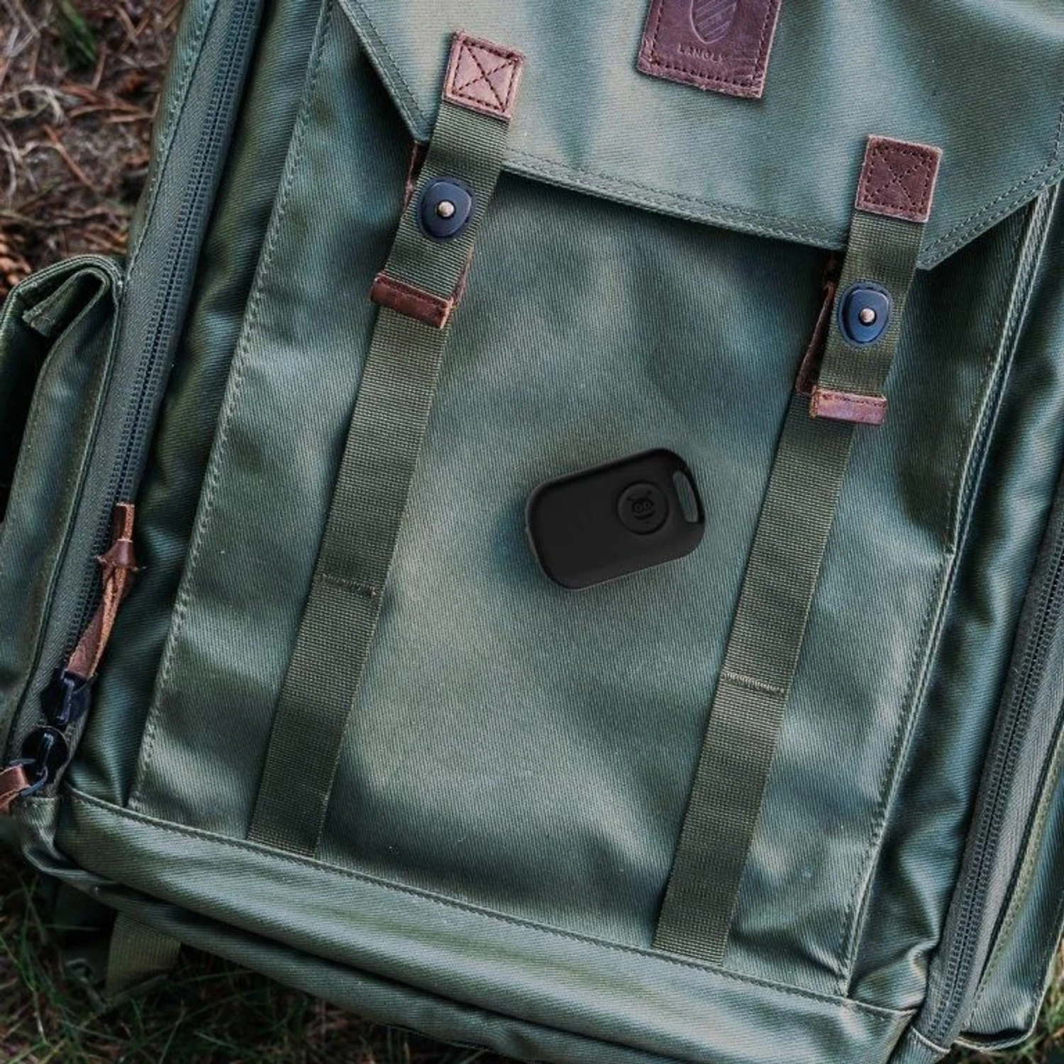 Pebblebee Dog & Cat GPS & Activity Tracker, Black 6 Pebblebee Dog & Cat GPS & Activity Tracker, Black - Image 6