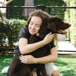 Pebblebee Dog & Cat GPS & Activity Tracker, Black 14 Pebblebee Dog & Cat GPS & Activity Tracker, Black -PetSafe Kong Shop 847782 PT6. AC SS1800 V1690388579