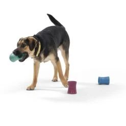 West Paw Funnl Dog Toy, Large, 4.25-in -PetSafe Kong Shop 847974 PT6. AC SS1800 V1683905951