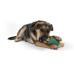West Paw Funnl Dog Toy, Large, 4.25-in -PetSafe Kong Shop 847974 PT7. AC SS1800 V1683904309