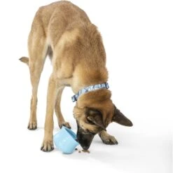 West Paw Toppl Dog Toy, X-Large, 4.75-in -PetSafe Kong Shop 848006 PT5. AC SS1800 V1683905445