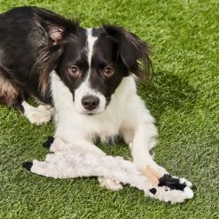 Ethical Pet Skinneeez Crinklers Goat Stuffing-Free Squeaky Plush Dog Toy 7 Ethical Pet Skinneeez Crinklers Goat Stuffing-Free Squeaky Plush Dog Toy -PetSafe Kong Shop 85048 PT8. AC SS1800 V1530547773