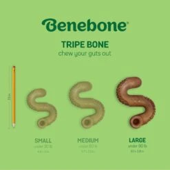 Benebone Tripe Bone Tough Dog Chew Toy, Brown -PetSafe Kong Shop 851070 PT5. AC SS1800 V1684348303