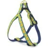 Up Country Sunflower Dog Harness, Blue & Yellow