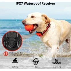Luckypets IPX7 Waterproof Reveiver, Rechargable & 1640-ft Remote Range Dog Collar, Red 12 Luckypets IPX7 Waterproof Reveiver, Rechargable & 1640-ft Remote Range Dog Collar, Red -PetSafe Kong Shop 853486 PT3. AC SS1800 V1687455022