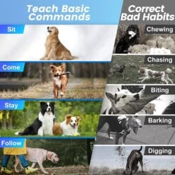 Luckypets 2600-ft Remote Range, Rechargeable & Waterproof Dog Collar, Black -PetSafe Kong Shop 853502 PT7. AC SS1800 V1687455514