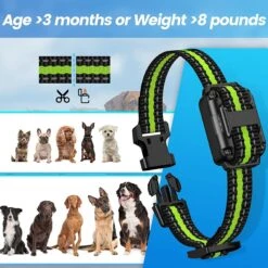 Luckypets 2600-ft Remote Range, Rechargeable & Waterproof Dog Collar, Black -PetSafe Kong Shop 853502 PT8. AC SS1800 V1687455027