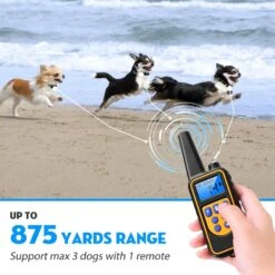 Luckypets Rechargeable & Waterproof Dog Training Collar, Yellow -PetSafe Kong Shop 853518 PT2. AC SS1800 V1687455459