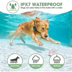 Luckypets Rechargeable E-Collar IPX7 Waterproof With 3 Training Modes Dog Collar, Black -PetSafe Kong Shop 853534 PT5. AC SS1800 V1687455022