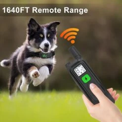 Luckypets Rechargeable Shock Collar With Beep, Vibration & Shock Modes Dog Training Collar, Black -PetSafe Kong Shop 853550 PT4. AC SS1800 V1687455081