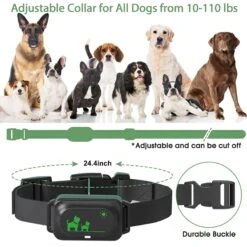 Luckypets Rechargeable Shock Collar With Beep, Vibration & Shock Modes Dog Training Collar, Black -PetSafe Kong Shop 853550 PT7. AC SS1800 V1687455456