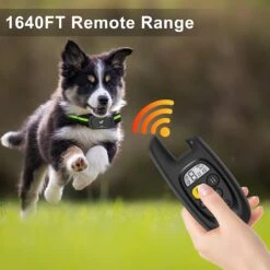 Luckypets Rechargeable Training Collar With Beep, Vibration & Shock Training Modes Dog Collar, Black -PetSafe Kong Shop 853566 PT3. AC SS1800 V1687455024