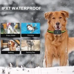 Luckypets IPX7 Waterproof Rechargeable Dog Electric Training Collar, Black, 2 Count 12 Luckypets IPX7 Waterproof Rechargeable Dog Electric Training Collar, Black, 2 Count -PetSafe Kong Shop 853582 PT4. AC SS1800 V1687455510