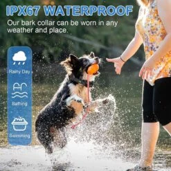 Luckypets Auto Citronella Dog Bark Collar, Black -PetSafe Kong Shop 853614 PT2. AC SS1800 V1687455459
