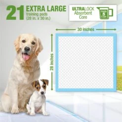Lil' Squirts Dog Training Pads, 21 Count -PetSafe Kong Shop 853838 PT2. AC SS1800 V1686337017