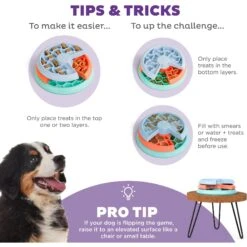 Outward Hound Puppy Lickin' Layers Slow Feeder For Puppies Interactive Dog Puzzle Game, Multiple Colors -PetSafe Kong Shop 855574 PT3. AC SS1800 V1694286652