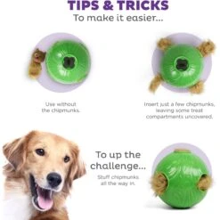 Nina Ottosson By Outward Hound Snuffle N' Treat Interactive Puzzle Ball & Treat Dispenser Dog Toy, Green -PetSafe Kong Shop 855590 PT3. AC SS1800 V1694439631