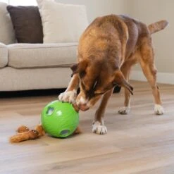 Nina Ottosson By Outward Hound Snuffle N' Treat Interactive Puzzle Ball & Treat Dispenser Dog Toy, Green -PetSafe Kong Shop 855590 PT4. AC SS1800 V1694286045