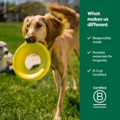 Earth Rated Flyer Dog Toy 15 Earth Rated Flyer Dog Toy -PetSafe Kong Shop 856190 PT6. AC SS1800 V1701983219