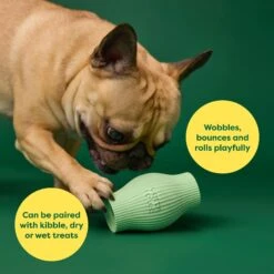 Earth Rated Treat Dispenser Dog Toy 12 Earth Rated Treat Dispenser Dog Toy -PetSafe Kong Shop 856254 PT3. AC SS1800 V1701932868