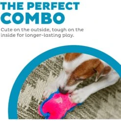 Outward Hound Invincibles Minis Squeaky Stuffing-Free Plush Dog Toy 6 Outward Hound Invincibles Minis Squeaky Stuffing-Free Plush Dog Toy -PetSafe Kong Shop 85905 PT1. AC SS1800 V1636515983