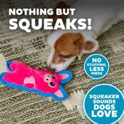 Outward Hound Invincibles Minis Squeaky Stuffing-Free Plush Dog Toy 8 Outward Hound Invincibles Minis Squeaky Stuffing-Free Plush Dog Toy -PetSafe Kong Shop 85905 PT3. AC SS1800 V1636517562
